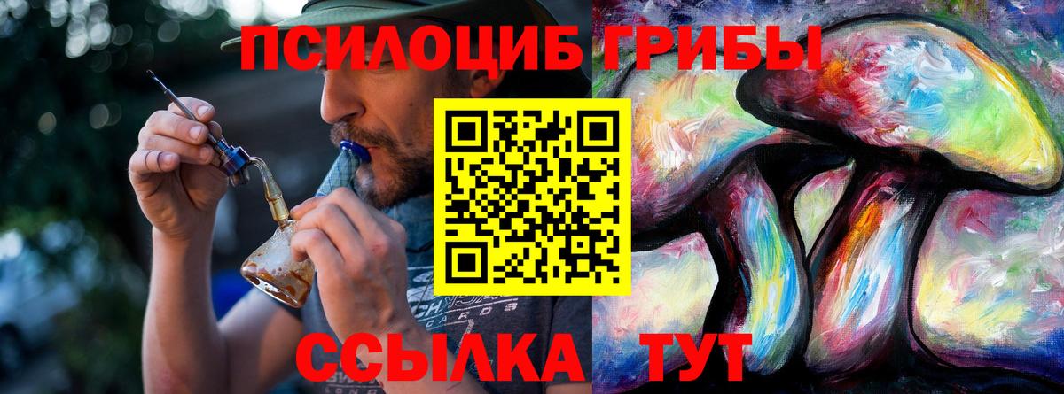 Гатчина  Псилоцибиновые грибы Psilocybe  Псилоцибиновые грибы Psilocybe  Вход с VPN 